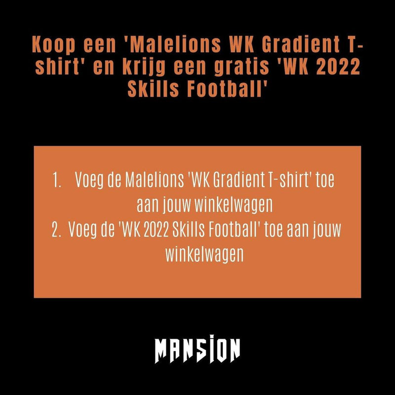 Malelions WK Gradient t-shirt